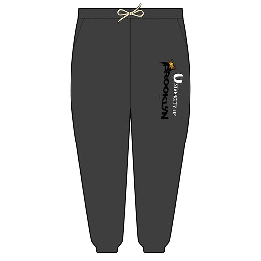 Univercity of Brooklyn Fleece Sweatpants -